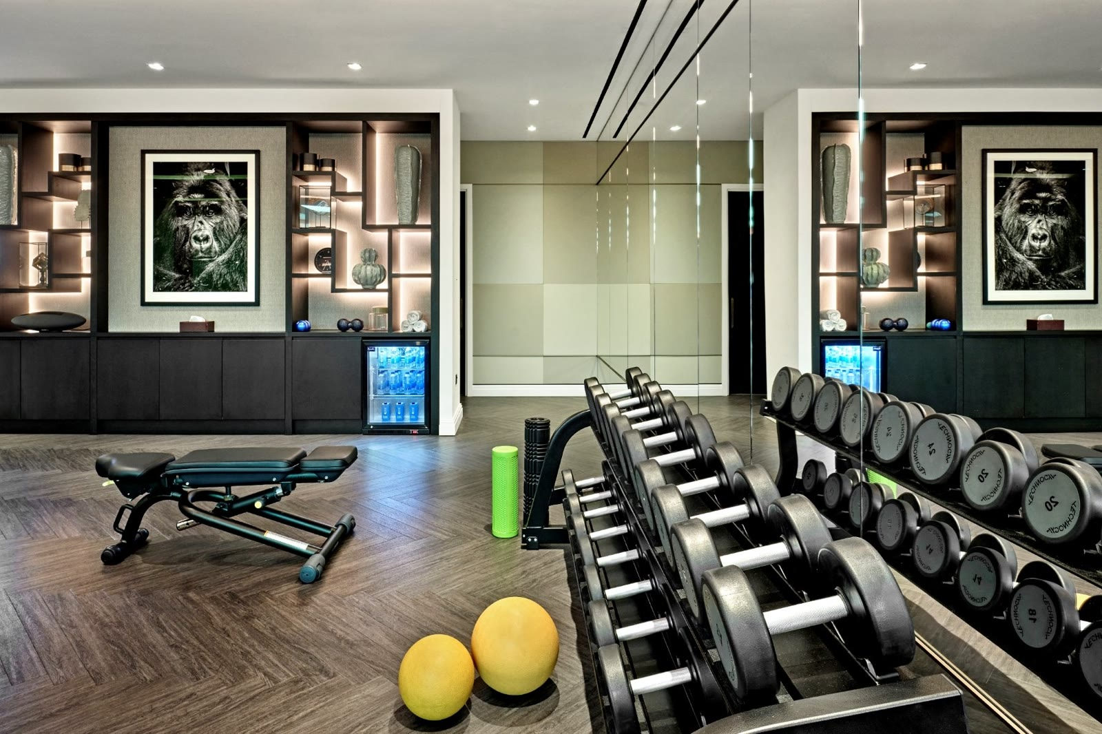 Basement home gym with bespoke joinery in Brentwood