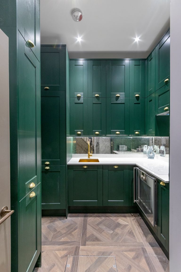 Green shaker kitchen with brass handles, kitchen extension in Epping